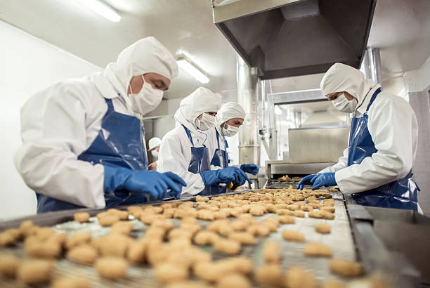 Production of Factory Foods